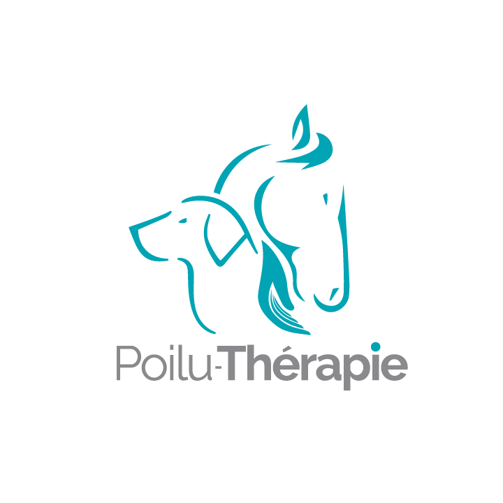 Poilu-Thérapie